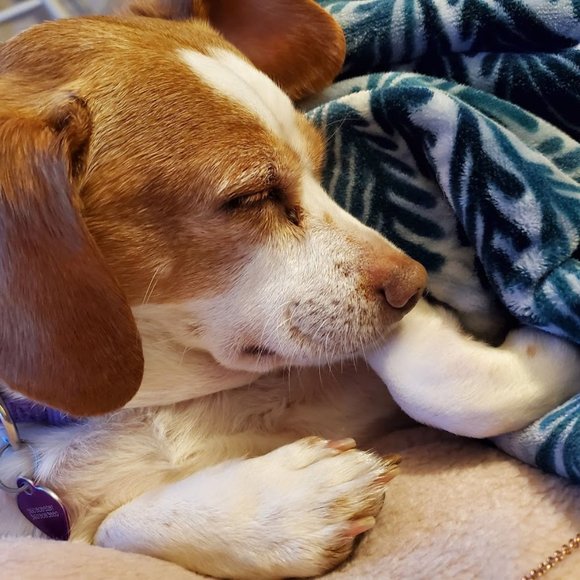 Meet your Posher, Michelle - Picture 7 of 13